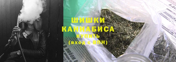 шишки Горнозаводск
