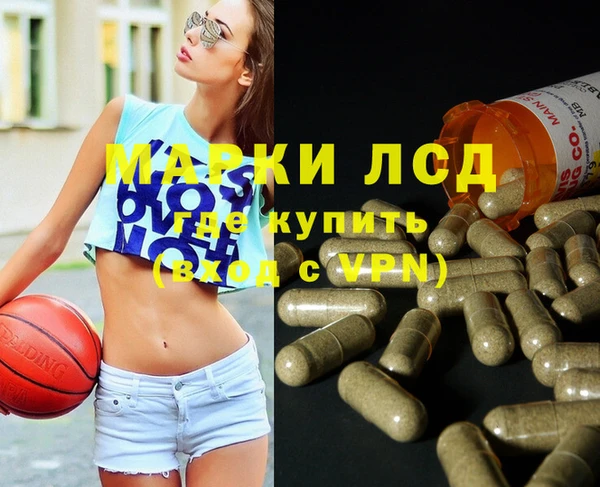 spice Горняк