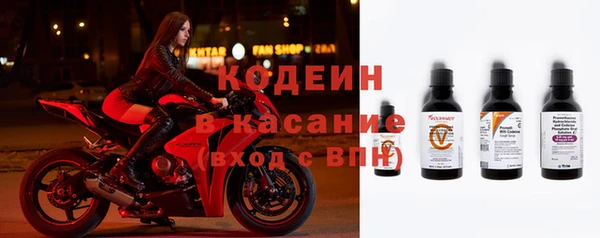 шишки Горнозаводск