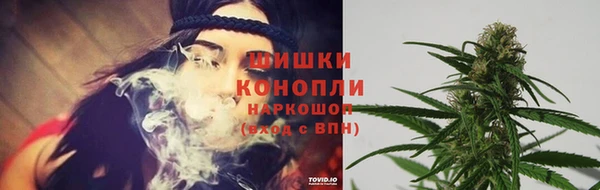 spice Горняк