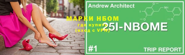 шишки Горнозаводск