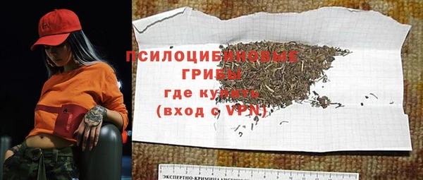 spice Горняк