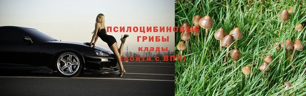 spice Горняк