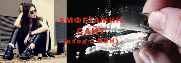шишки Горнозаводск