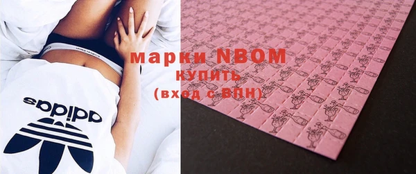 шишки Горнозаводск