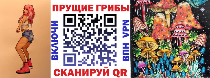 Псилоцибиновые грибы MAGIC MUSHROOMS где можно купить наркотик Кисловодск